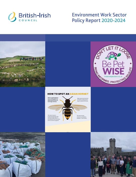 BIC Environment Work Sector Policy Report 2020-2024